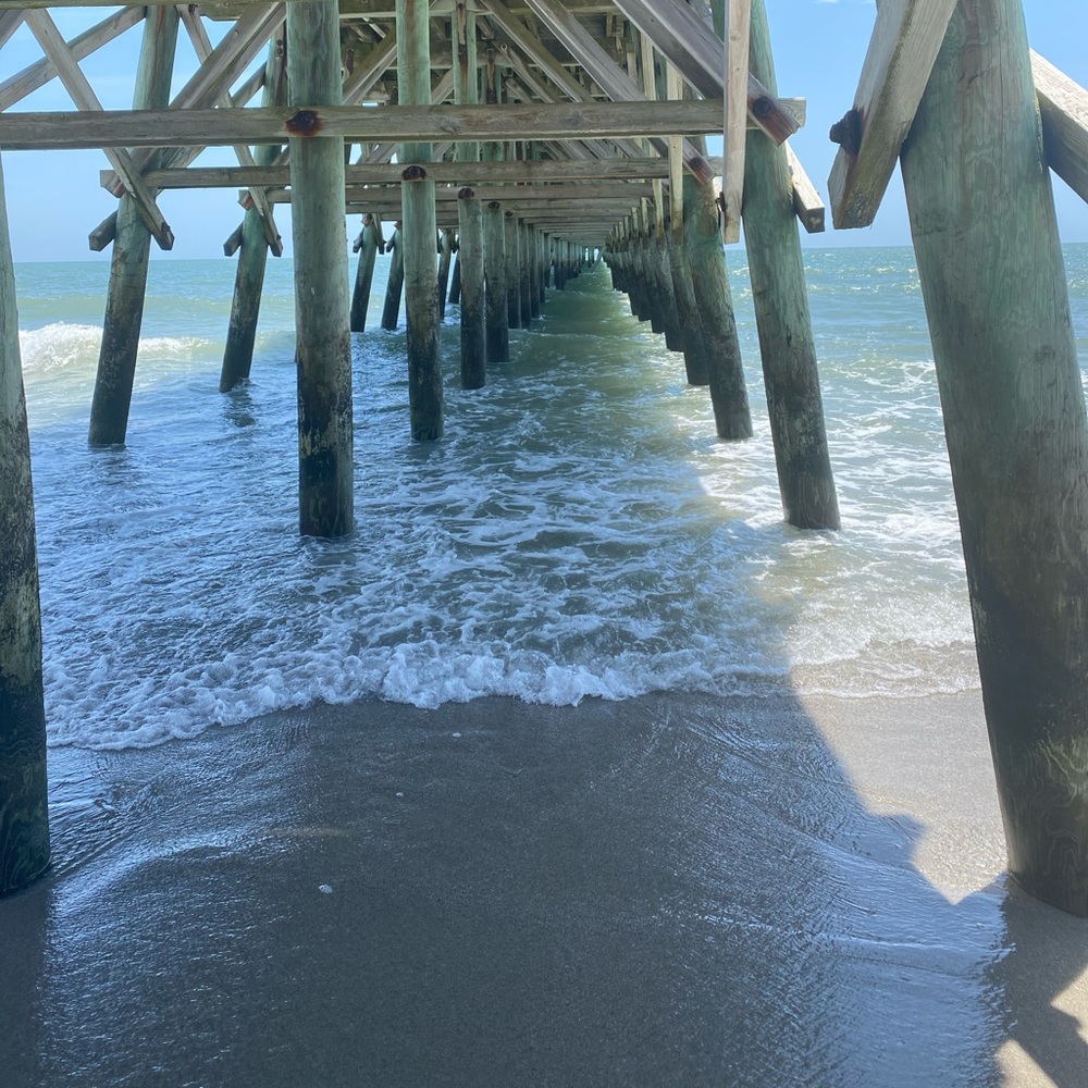 Meet your Posher, Diana